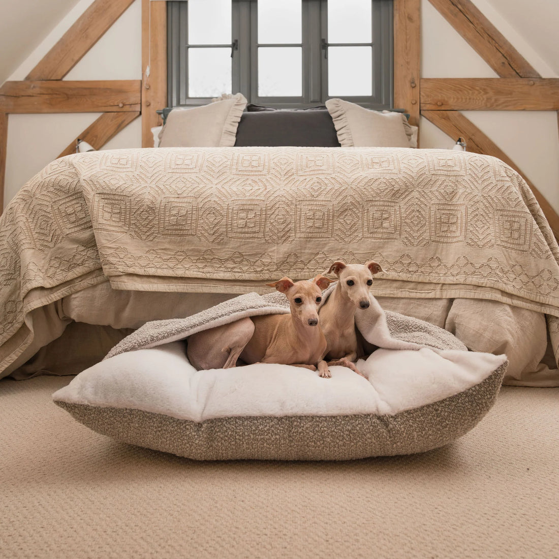 How to Choose the Perfect Luxury Bed for Your Pet