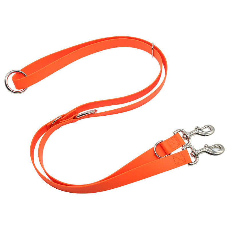 Multifunctional Leash