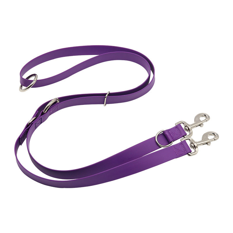 Multifunctional Leash