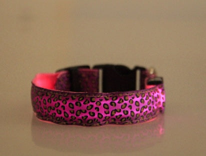 LED Dog Safety Collar