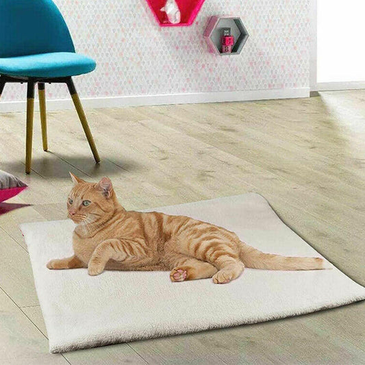 Electric Heating Warm Blanket