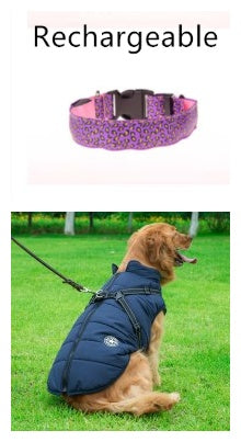 LED Dog Safety Collar