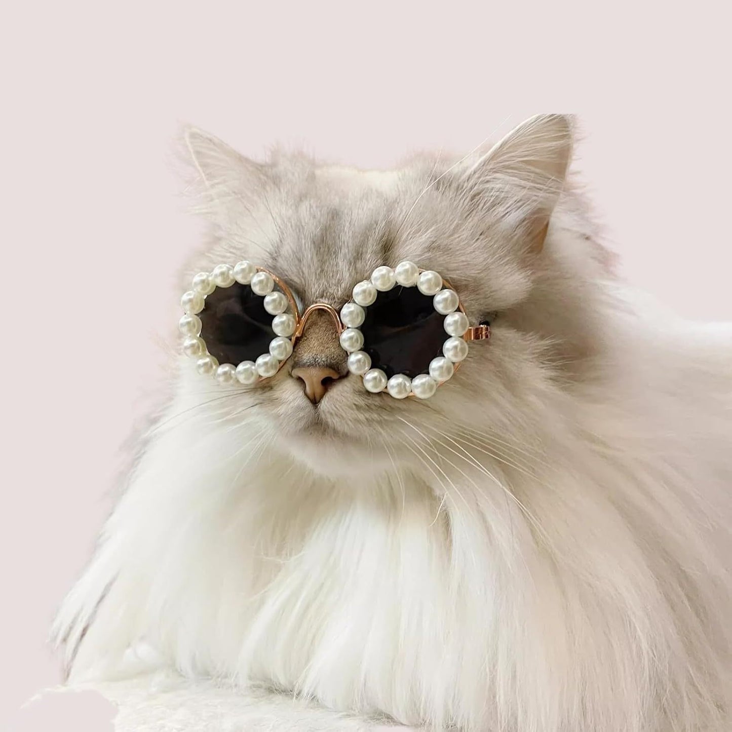 Cat And Dog Pearl Sunglasses