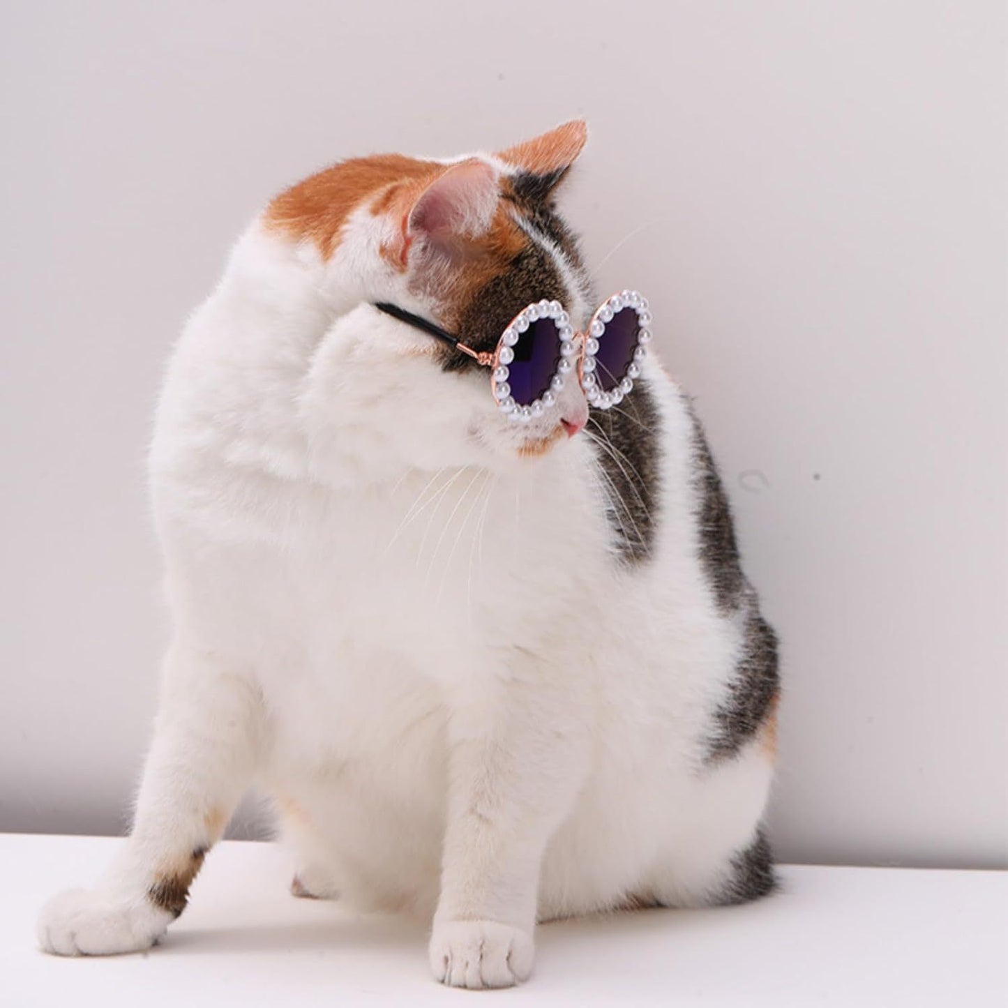 Cat And Dog Pearl Sunglasses