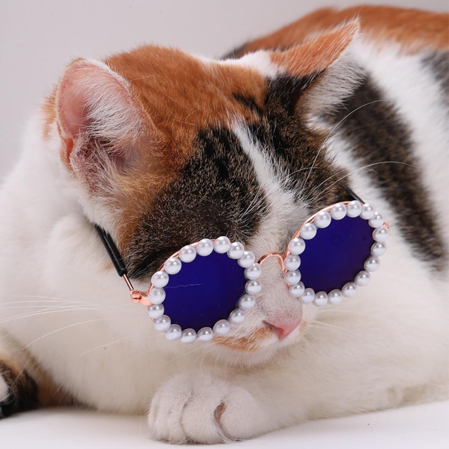 Cat And Dog Pearl Sunglasses