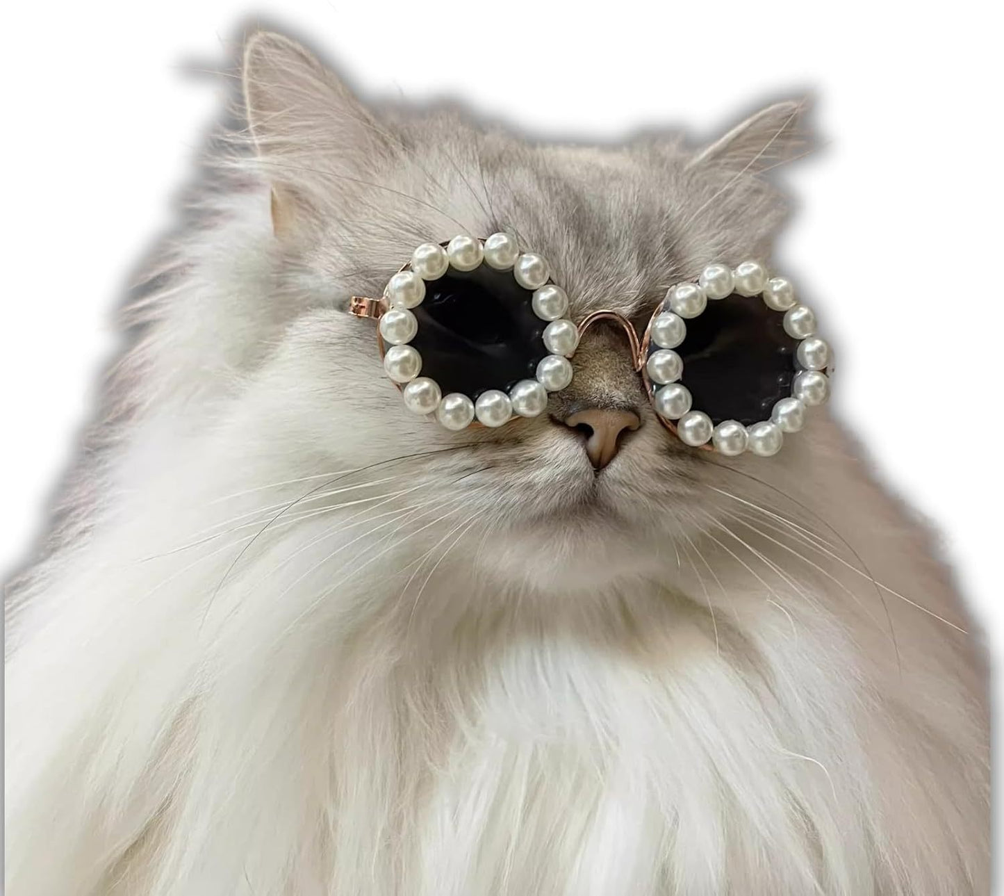 Cat And Dog Pearl Sunglasses